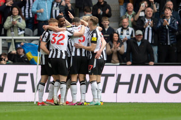 引进维尔茨 引进维尔茨